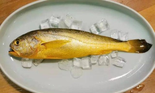 大豆营养价值及功效是什么-大豆营养价值及功效网 - 网站提供大豆的营养功效与作用小常识、大豆的功