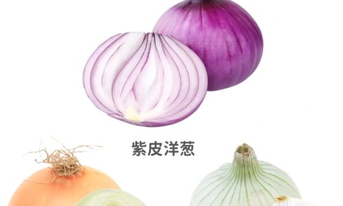 大豆营养价值及功效是什么-大豆营养价值及功效网 - 网站提供大豆的营养功效与作用小常识、大豆的功