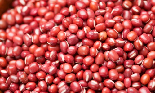 大豆的功-大豆营养价值及功效网 - 网站提供大豆的营养功效与作用小常识、大豆的功